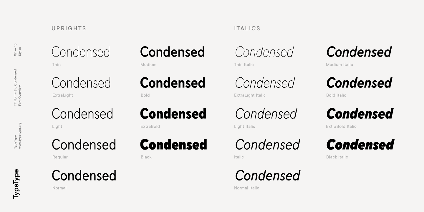 TT Norms Std Condensed Bold Italic Font preview